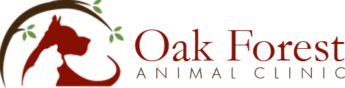 Home | Oak Forest Animal Clinic