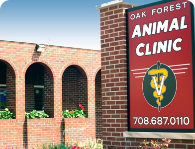Home | Oak Forest Animal Clinic